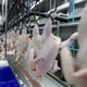 Image for article titled Health Department Gives Tyson Plant ‘D’ Grade After Discovering Raw Chicken Contaminating Nearly Every Surface